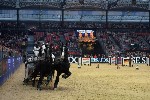 Extreme - 00547